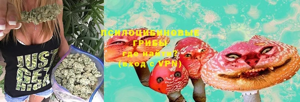 Альфа ПВП Корсаков