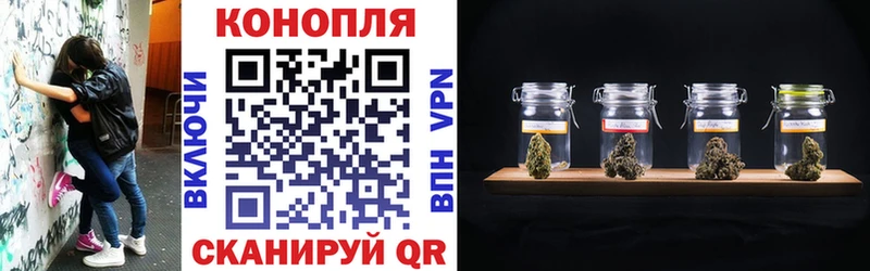 Бошки Шишки семена  Михайловка 